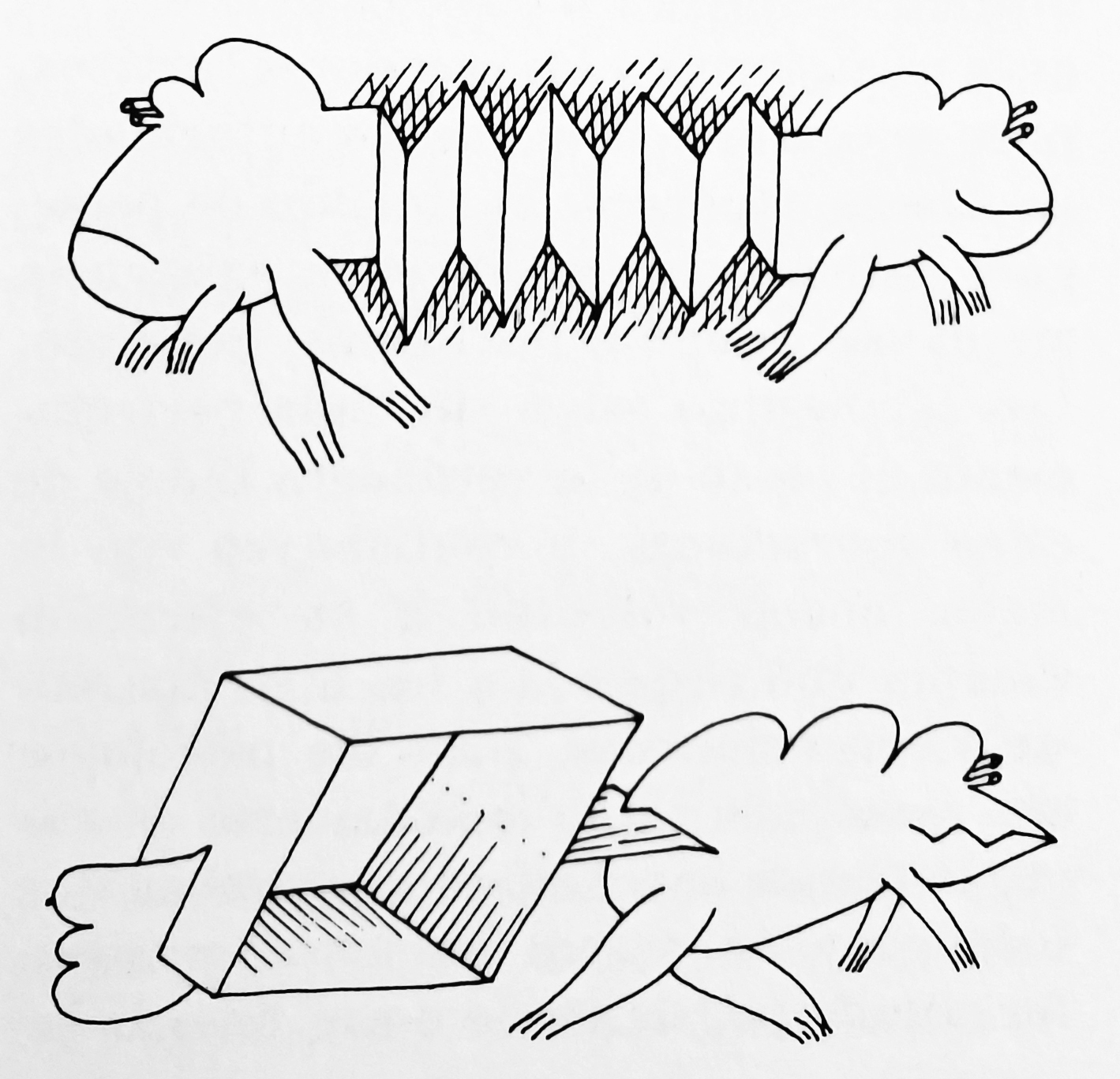 Variaciones Nº 7B